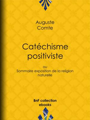 Cover of the book Catéchisme positiviste by Astolphe de Custine