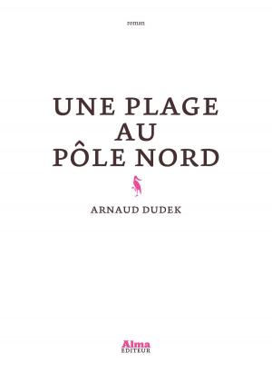 Cover of the book Une plage au pôle nord by Randy j Sparks