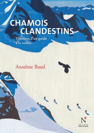 Book cover of Chamois clandestins