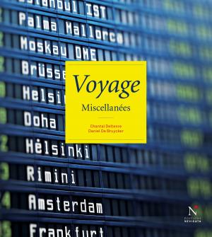 Cover of the book Voyage by Damien Gildea