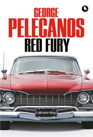 Cover of the book Red Fury by Pauline Bebe