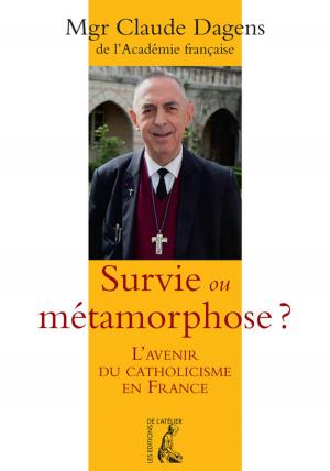 Cover of the book Survie ou métamorphose ? by Dominique Vidal, Michel Warschawski