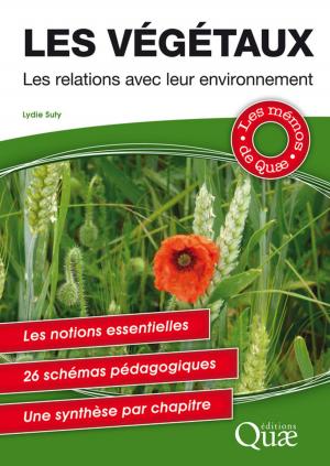 Cover of the book Les végétaux by Jocelyne Porcher, Olivier Néron de Surgy