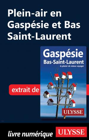 Cover of the book Plein-air en Gaspésie et Bas Saint-Laurent by Jérôme Delgado