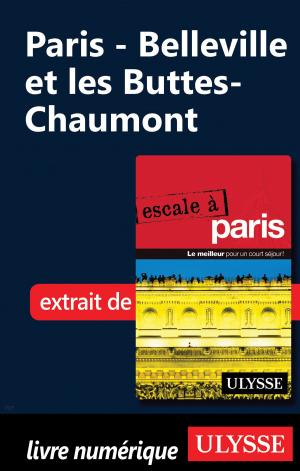 bigCover of the book Paris - Belleville et les Buttes-Chaumont by 