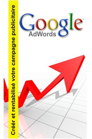 Cover of the book Google adwords by Comité Pré~OHM