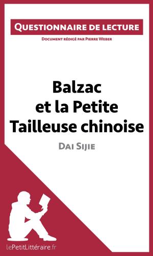 Cover of the book Balzac et la Petite Tailleuse chinoise de Dai Sijie by Julie Mestrot, lePetitLittéraire.fr