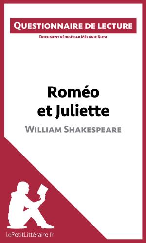 Cover of the book Roméo et Juliette de Shakespeare by Elena Pinaud, lePetitLittéraire.fr, Larissa Duval