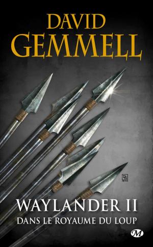 Cover of the book Waylander II : Dans le Royaume du loup by Arthur C. Clarke