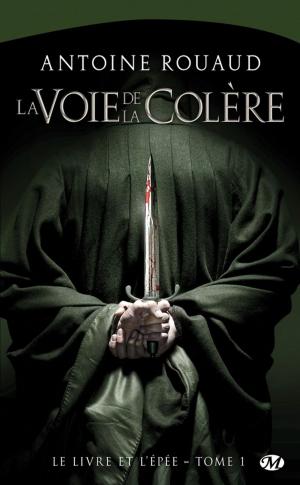 Cover of the book La Voie de la colère by Ed. Greenwood