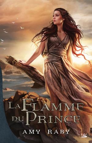 Book cover of La Flamme du prince