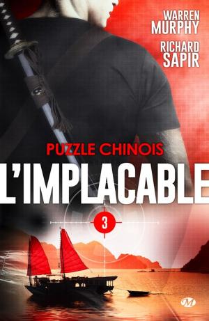 bigCover of the book Puzzle chinois by 