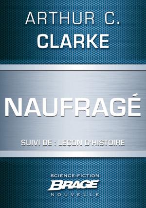 Cover of the book Naufragé (suivi de) Leçon d'Histoire by Michel Jeury