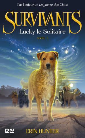 Cover of the book Les survivants, tome 1 : Lucky le solitaire by Juliette BENZONI