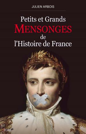 Cover of the book Petits et grands mensonges de l'histoire de France by Toni Maguire, Sally East