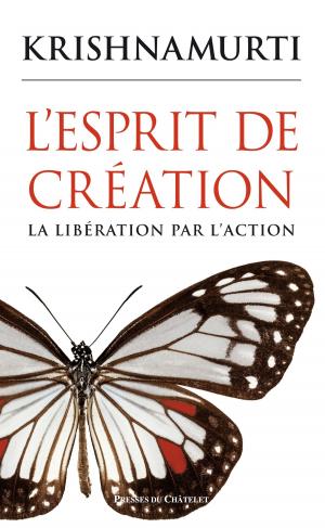 Book cover of L'esprit de création