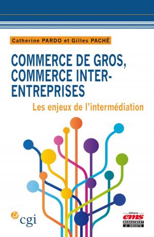 Cover of the book Commerce de gros, commerce inter-entreprises by Frank Guérin, Daniel Brun