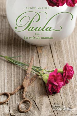 Cover of the book Paula T1 by Nadia Lakhdari King, Catherine Girard-Audet, Caroline Allard