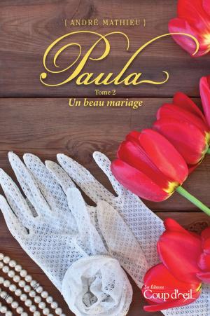 Cover of the book Paula T2 by Nadia Lakhdari King