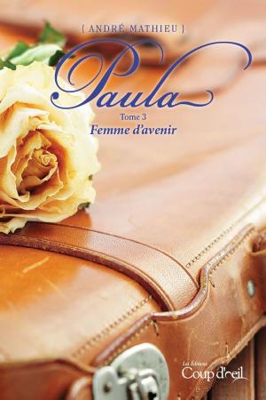 Cover of the book Paula T3 by Sophie Bérubé