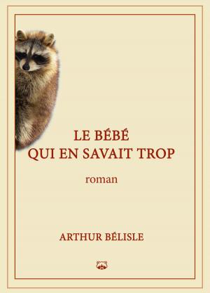 Cover of the book Le bébé qui en savait trop by Megan Haskell