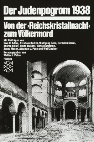Book cover of Der Judenpogrom 1938