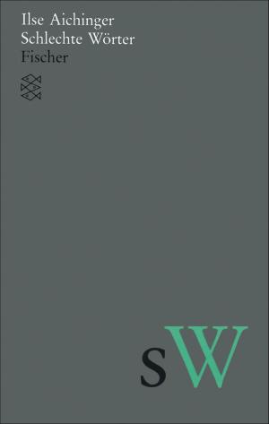 Cover of the book Schlechte Wörter by Christoph Ransmayr