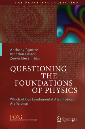 Cover of the book Questioning the Foundations of Physics by Isobel Kai-Hui Wang