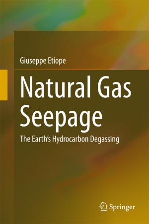 Cover of the book Natural Gas Seepage by Saleh Faruque