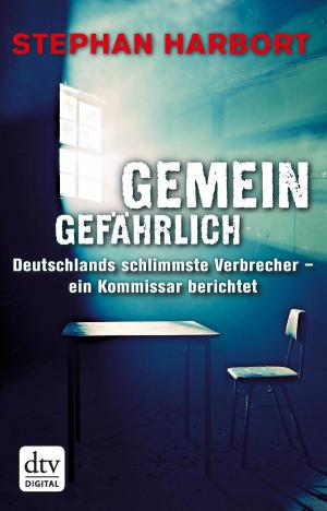 Cover of the book Gemeingefährlich by Judith Winter