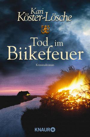 Cover of the book Tod im Biikefeuer by Franz-Josef Körner