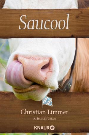 Cover of the book Saucool by Iny Lorentz