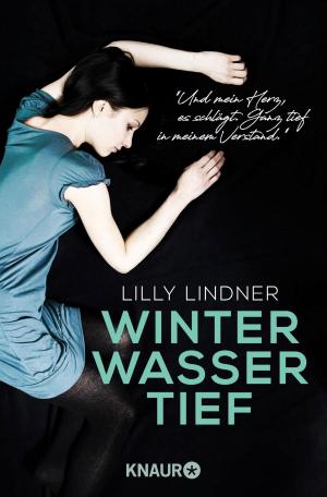 Cover of the book Winterwassertief by Mhairi McFarlane