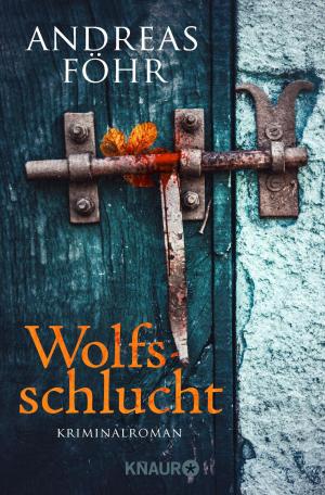 Cover of the book Wolfsschlucht by Holger Schlageter, Patrick Hinz