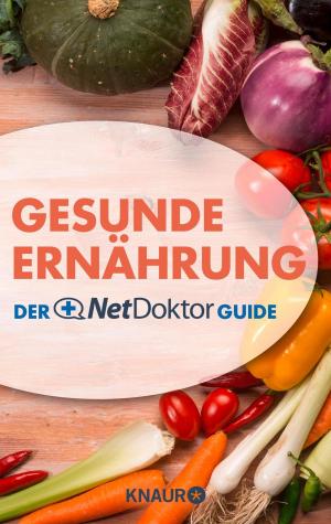 Cover of the book Gesunde Ernährung by Sheila Bugler