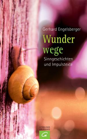 Cover of the book Wunderwege by Michael Roth