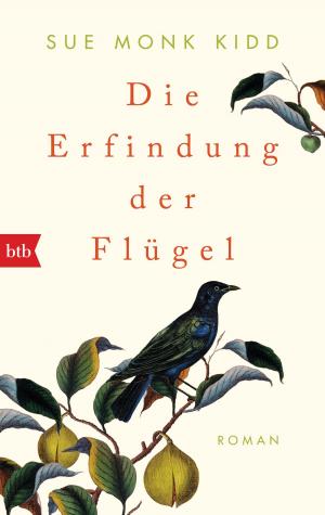 Cover of Die Erfindung der Flügel
