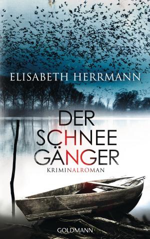Cover of the book Der Schneegänger by Alexandra Bracken