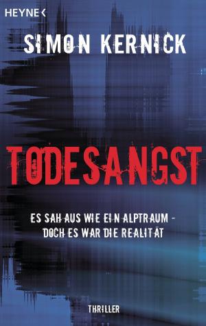 bigCover of the book Todesangst by 