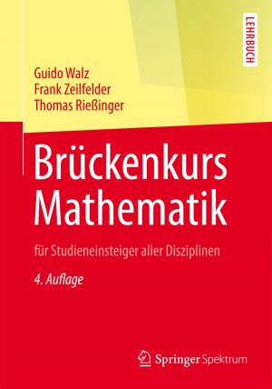 Cover of the book Brückenkurs Mathematik by Hendrik J. ten Donkelaar, Gesineke C. Bangma, Heleen A. Barbas-Henry, Roelie de Boer-van Huizen, Jan G. Wolters