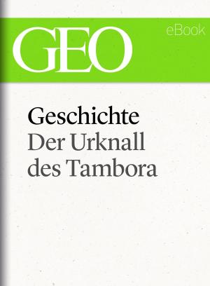 Cover of Geschichte: Der Urknall des Tambora (GEO eBook Single)