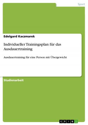 Cover of the book Individueller Trainingsplan für das Ausdauertraining by Haneberg, Lisa