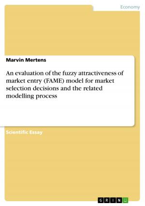 Cover of the book An evaluation of the fuzzy attractiveness of market entry (FAME) model for market selection decisions and the related modelling process by Jenny Bergel