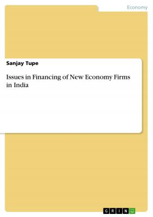 Cover of the book Issues in Financing of New Economy Firms in India by Matthias Engelberth