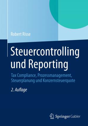 Cover of the book Steuercontrolling und Reporting by Franz Petermann, Ute Koglin