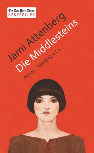 Cover of the book Die Middlesteins by Thomas Heerma van Voss, Christian Brandl