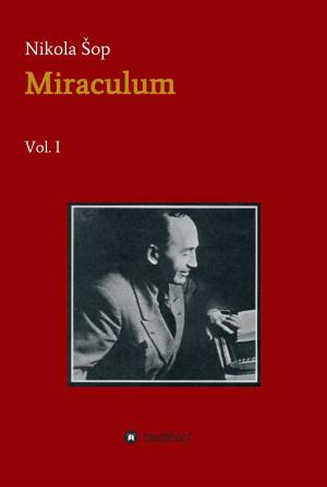 Cover of the book Miraculum by Manfred Theisen