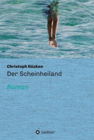 Cover of the book Der Scheinheiland by Nora Aboulenein