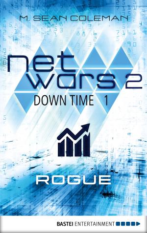 Book cover of netwars 2 - Down Time 1: Rogue