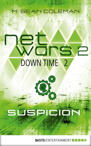 Book cover of netwars 2 - Down Time 2: Suspicion